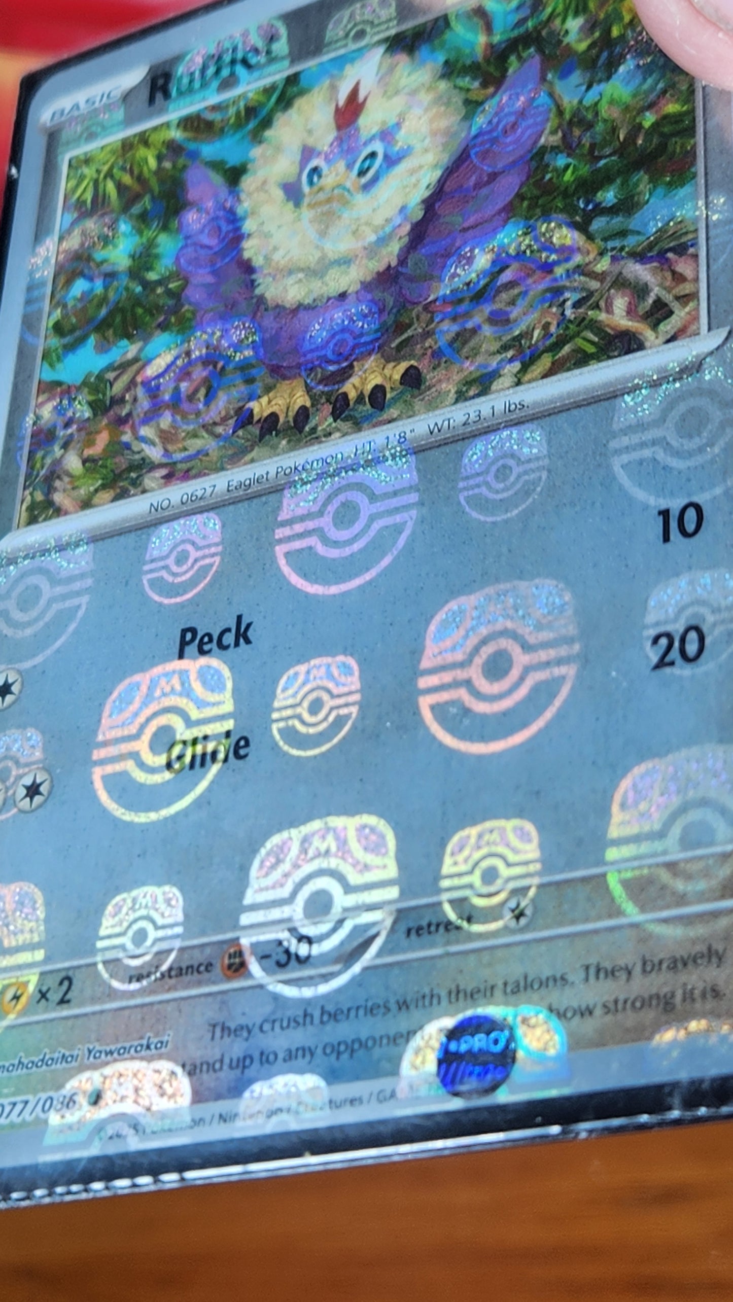 Rufflet MasterBall Reverse