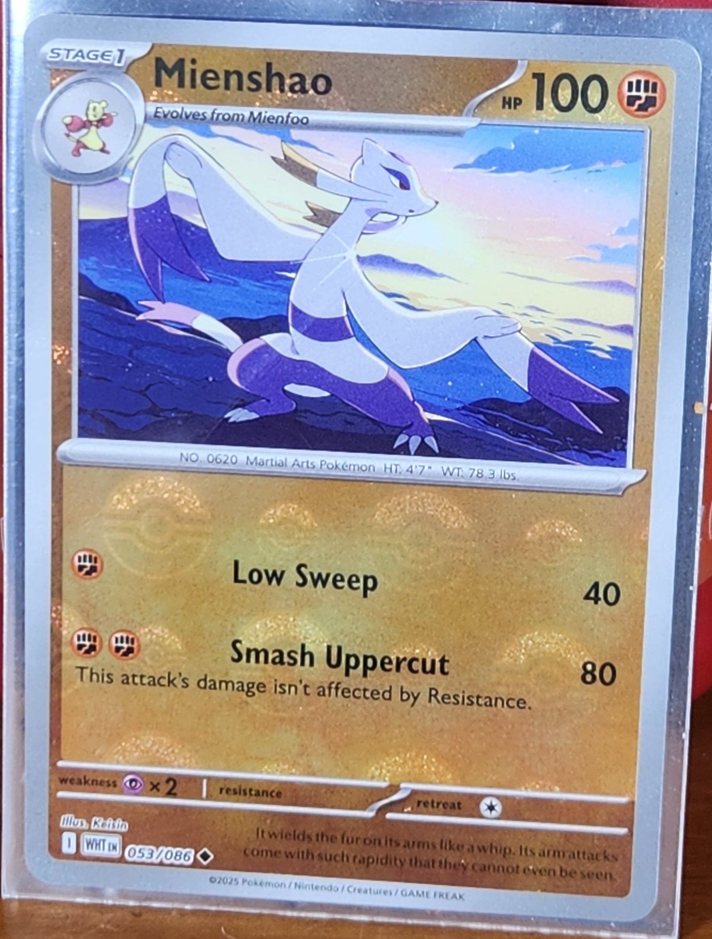 Mienshao Pokeball Reverse