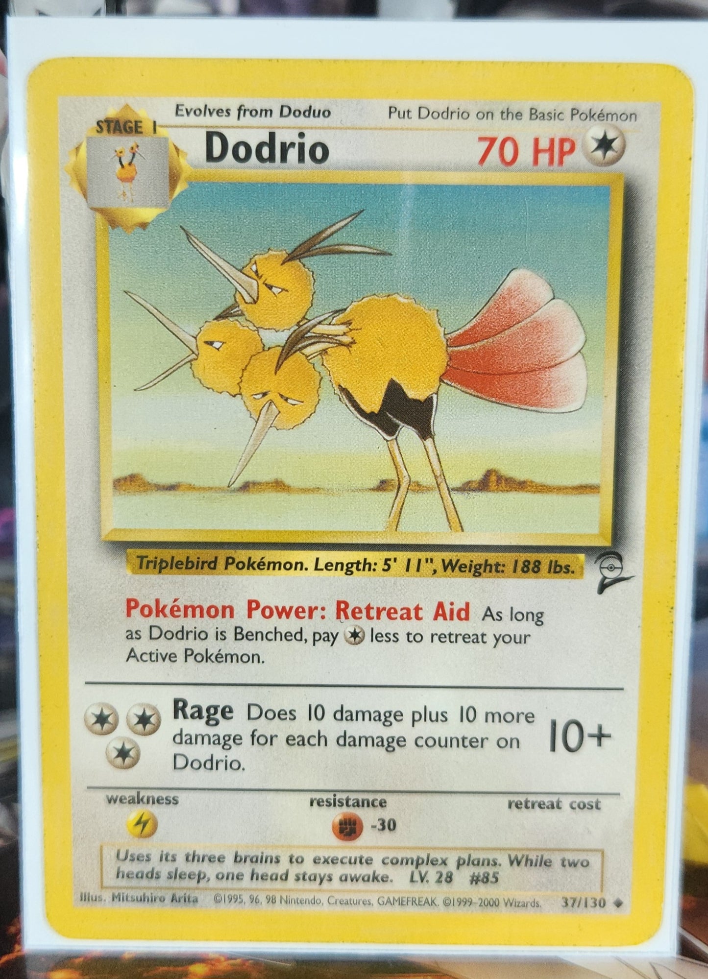 Dodrio