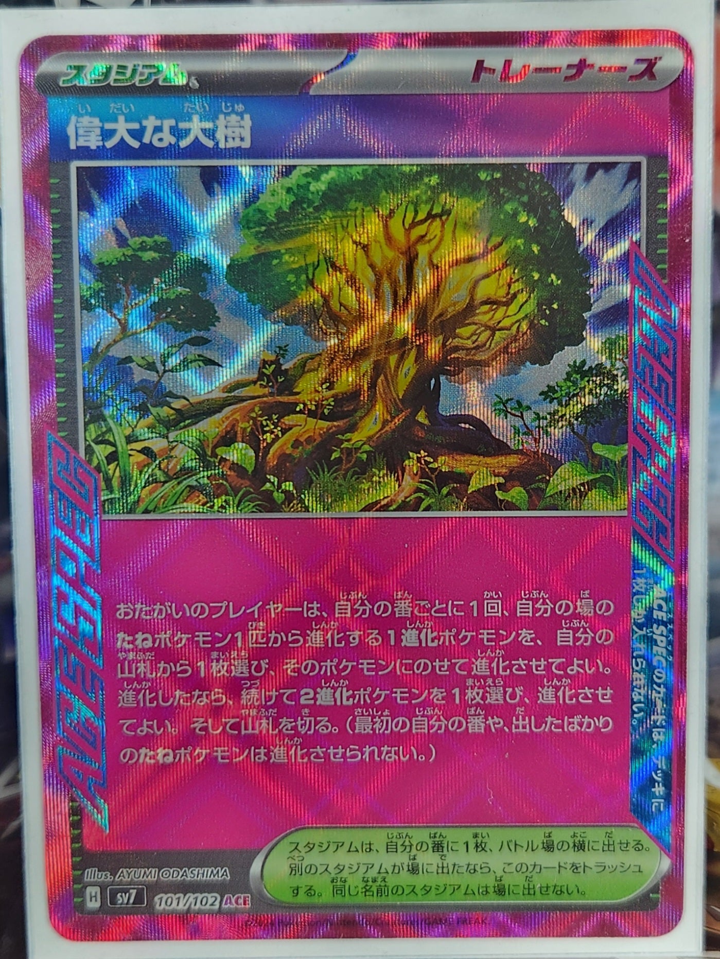 Great Big Tree
