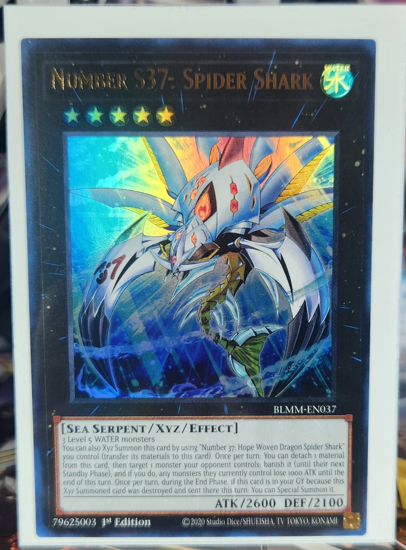 Number S37: Spider Shark