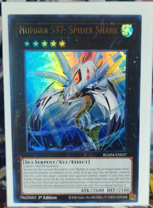 Number S37: Spider Shark