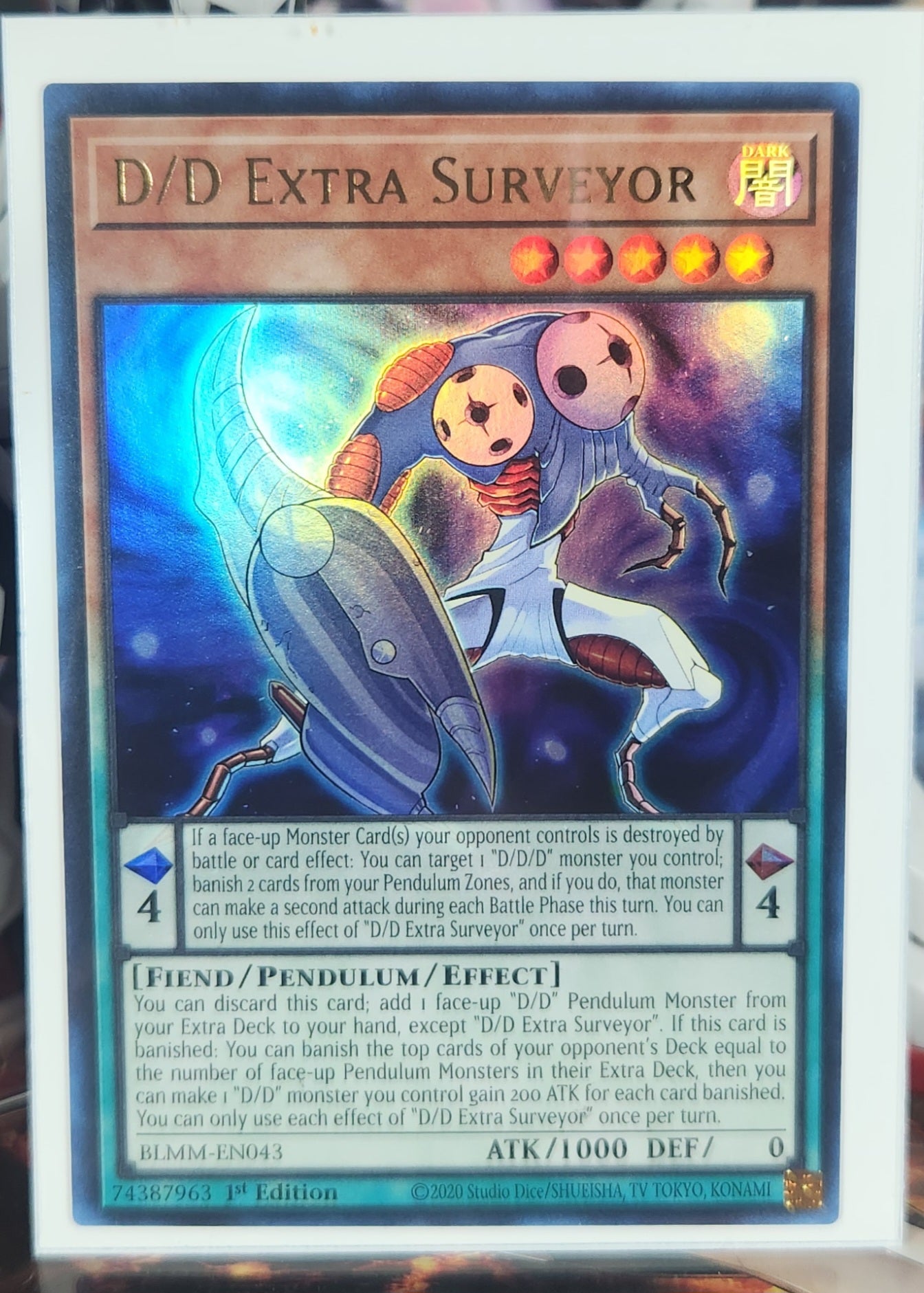 D/D Extra Surveyor