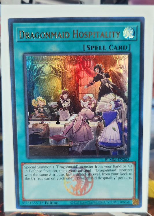 Dragonmaid Hospitality