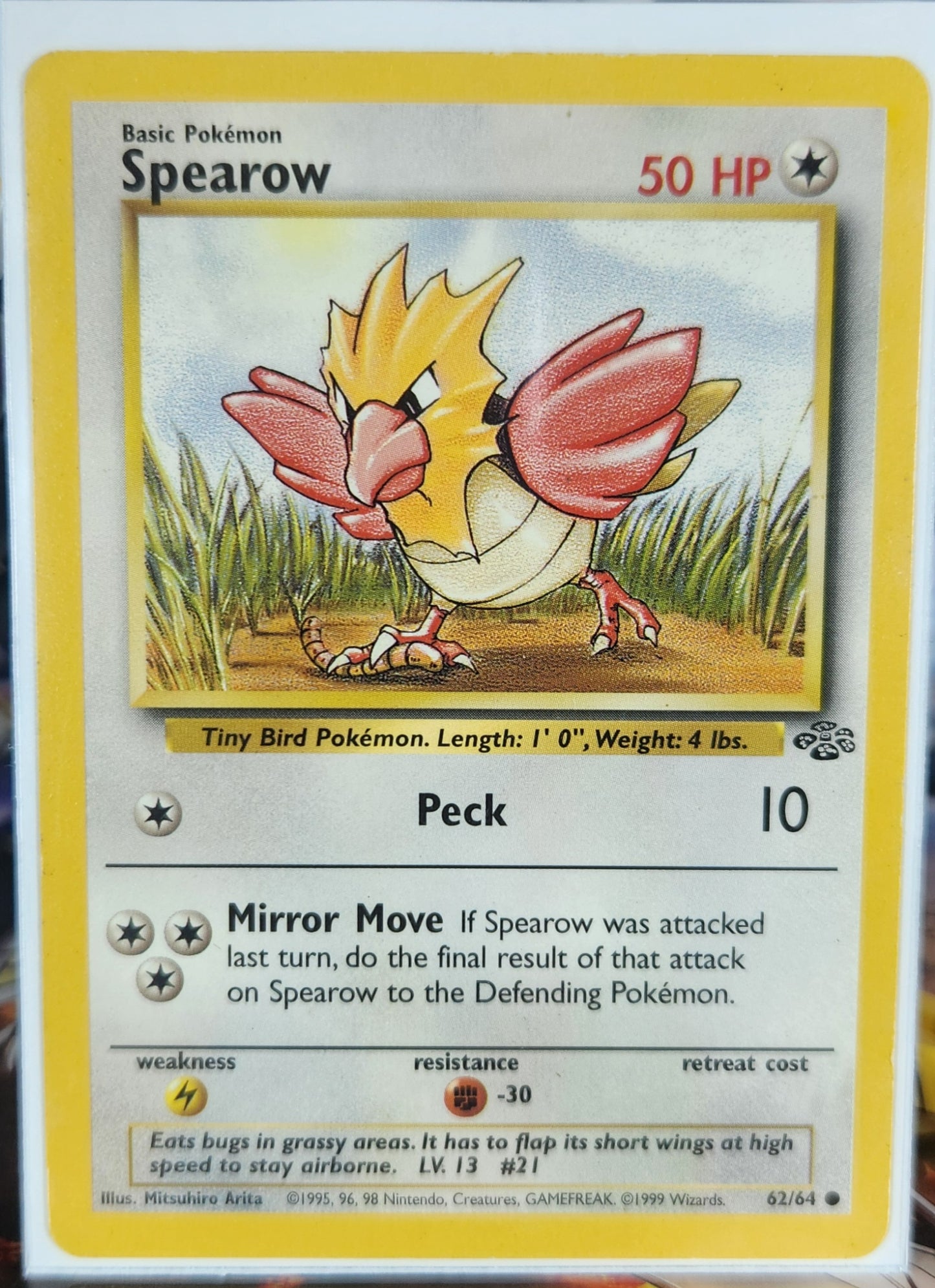 Spearow